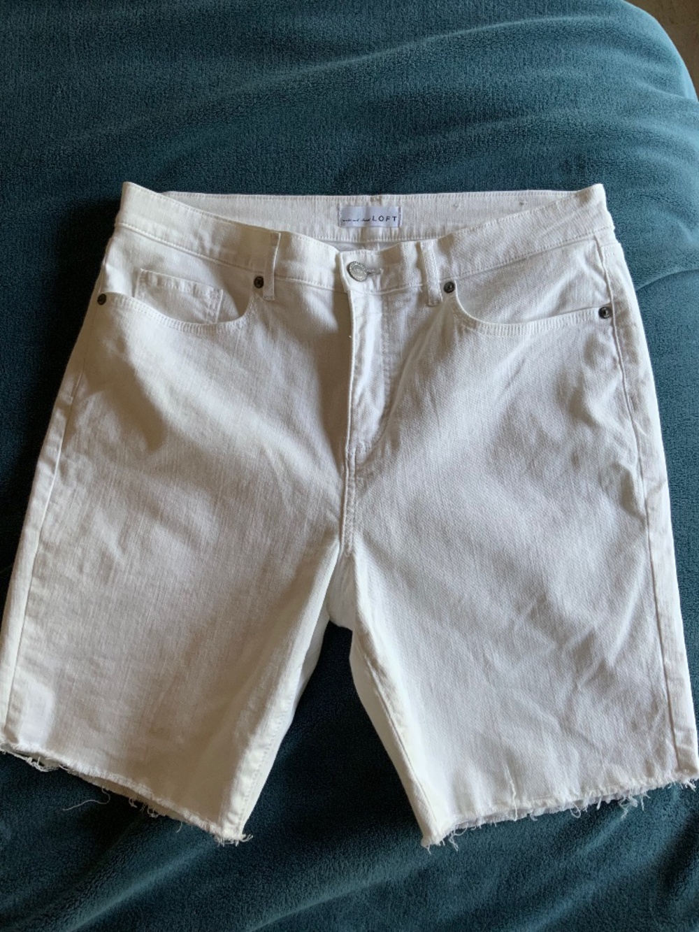 Loft shorts